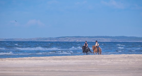 Horseback riding