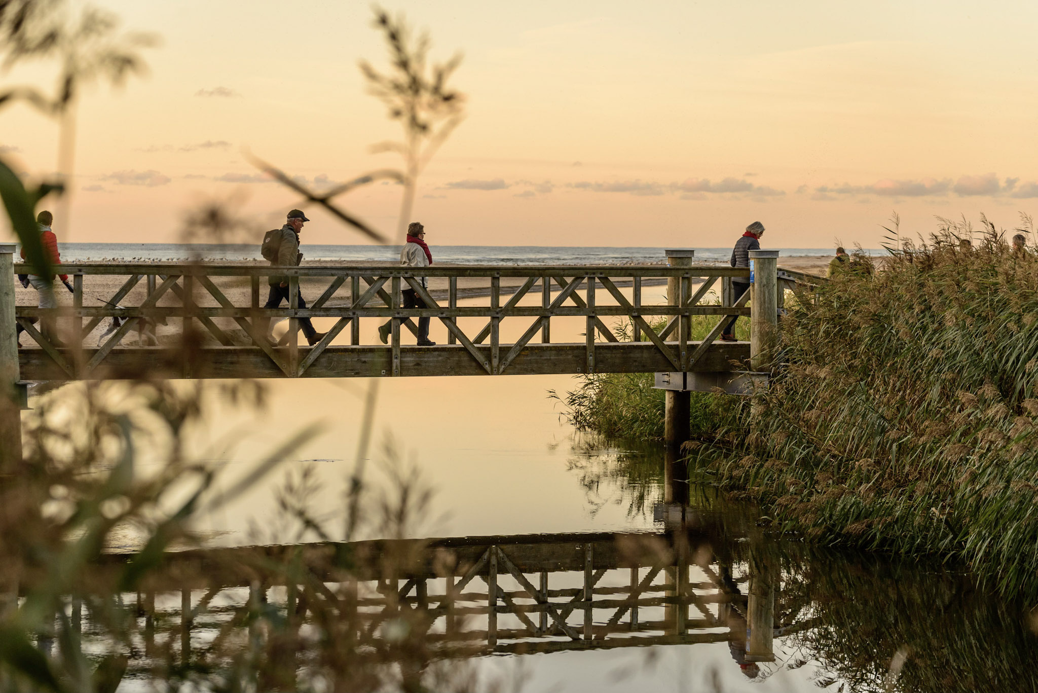 What to see and do in North Jutland.